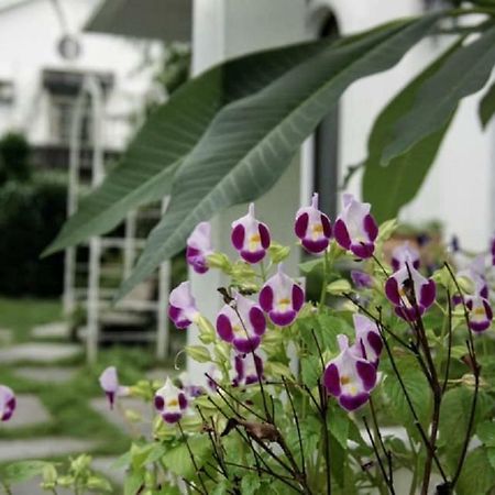 סאנשינג Hasayaki Homestay מראה חיצוני תמונה
