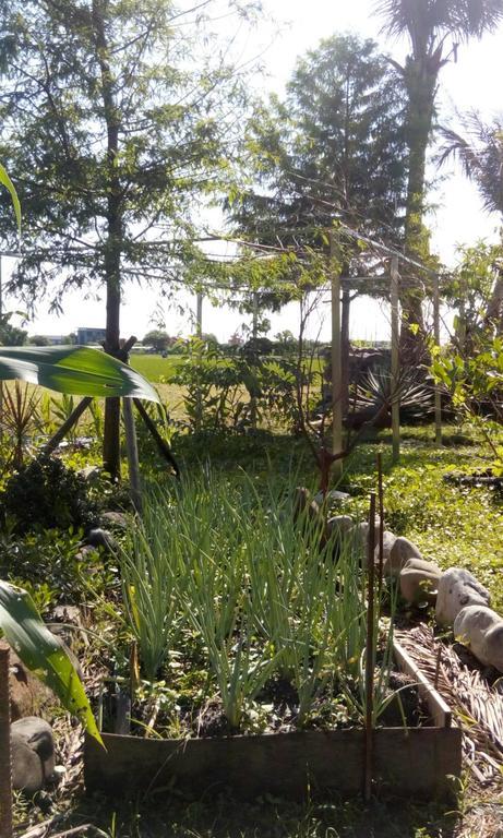 סאנשינג Hasayaki Homestay מראה חיצוני תמונה