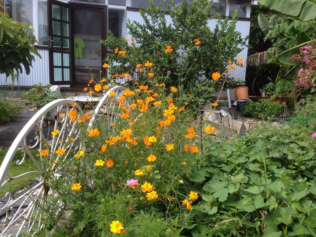 סאנשינג Hasayaki Homestay מראה חיצוני תמונה